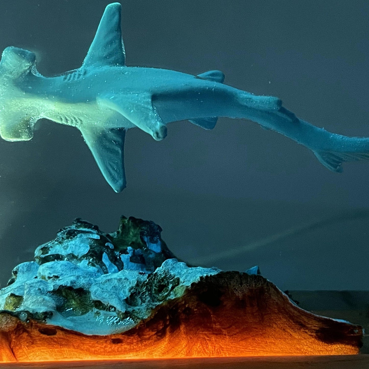 Great White Shark Ocean Epoxy Lamp – LY278