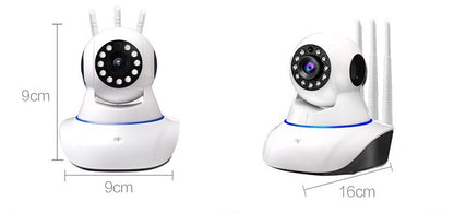 61f768f03631597d75af1a647b87e629