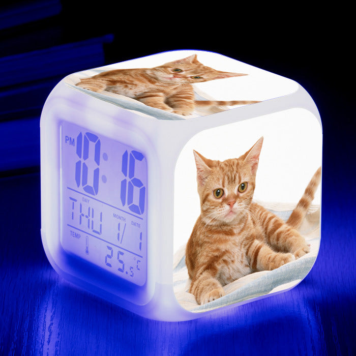 8f3fae8bcaf9468659c8e9b7445eb195