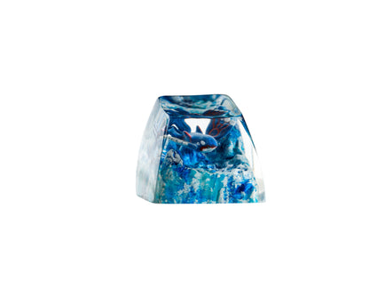 Keycap Kyogre Water Base | Artisan Mechanical Keycap