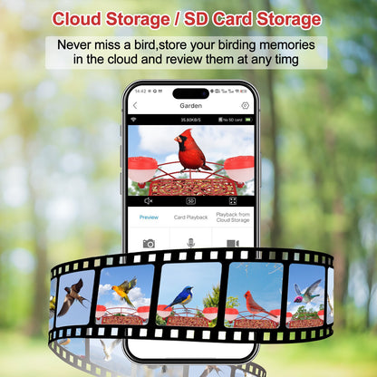 c1a6de3dbd8fa4fc4f53ec9f9cfab7e