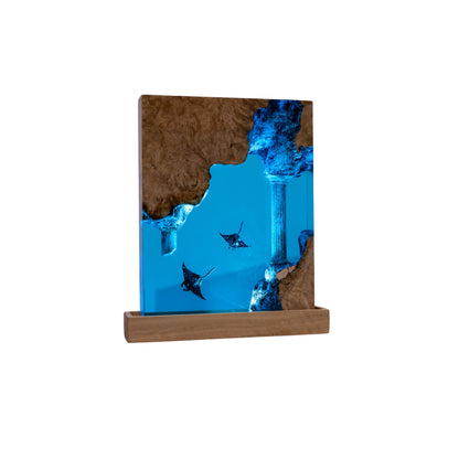 Stingray Resin Lamp – Fantasy Edition I – Collector’s Night Light